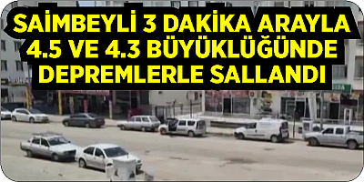 Adana 4.5 ve 4.3 büyüklüğünde depremlerle 2 kez sallandı!