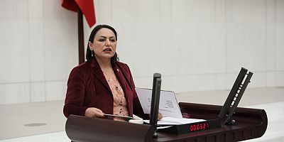 Adana Milletvekili Şevkin, Koşulsuz doğum borçlanması için kanun teklifi